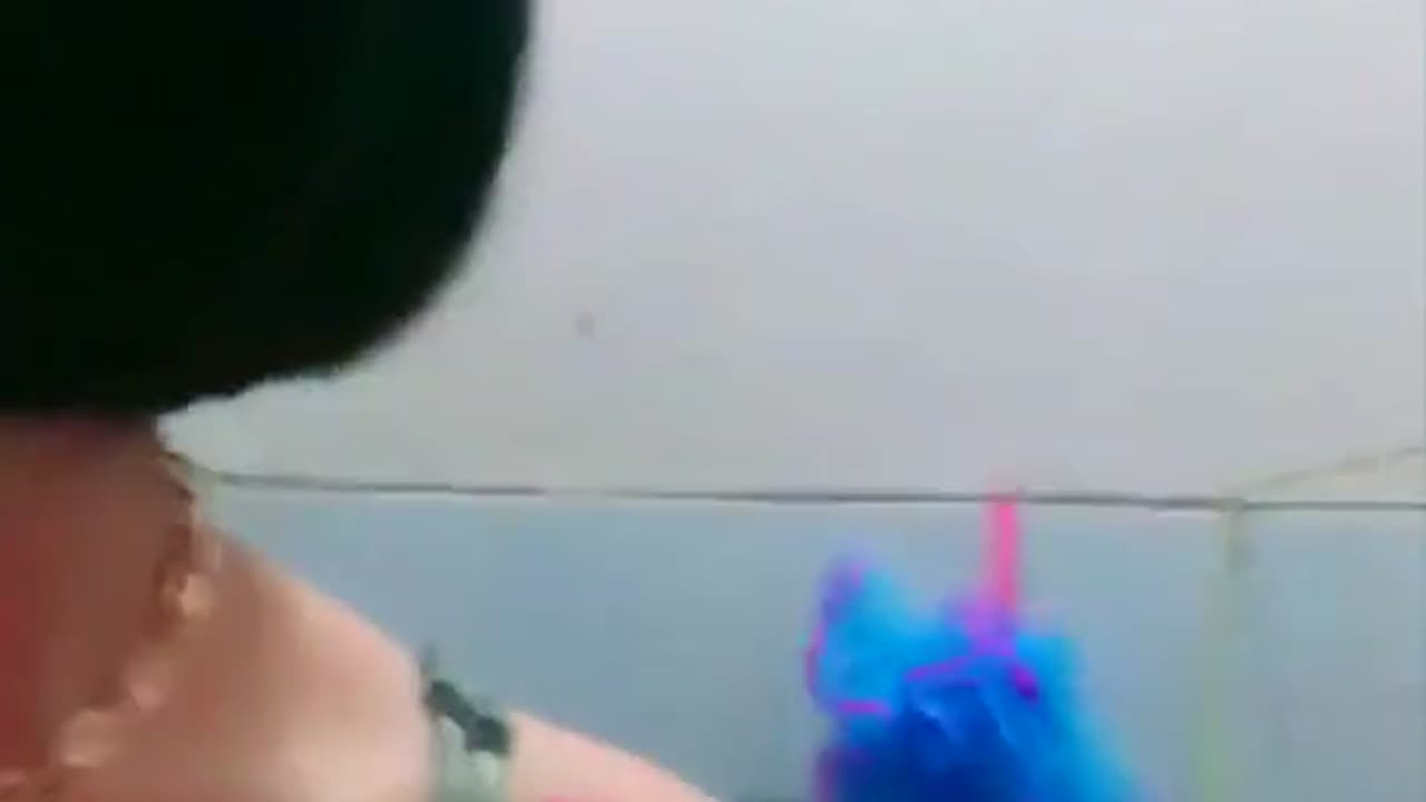 Mango VioRabbit Part 1 2482021