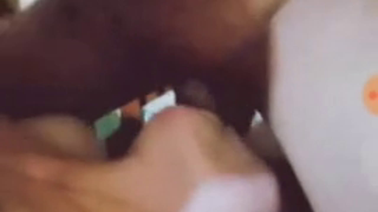 Agliovita 3some Live Show